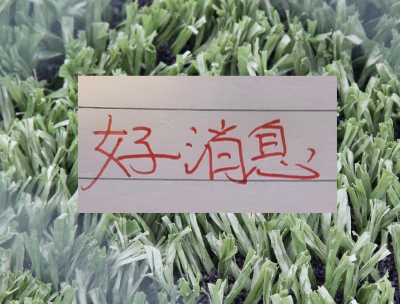 乐鱼体育登录入口-也是好消息！申花单场独造三球王牌 很有可能第四轮复出
